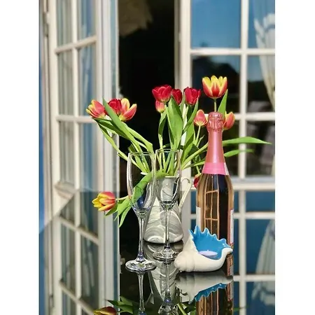 Marla Comfortable Vacation アパート ボルン