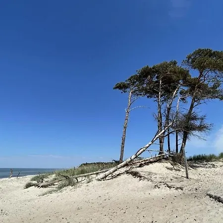 Marla Comfortable Vacation ボルン