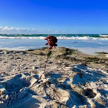 Marla Comfortable Vacation アパート