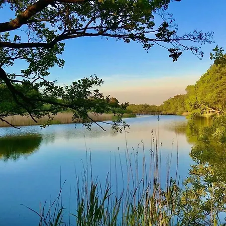 Marla Comfortable Vacation アパート *