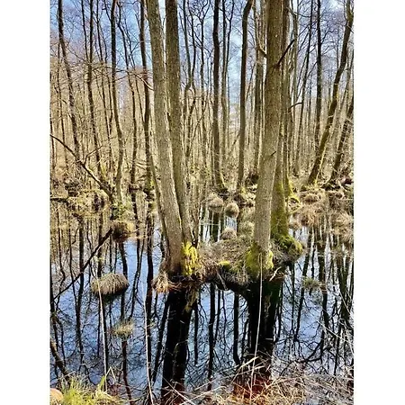 Marla Comfortable Vacation *