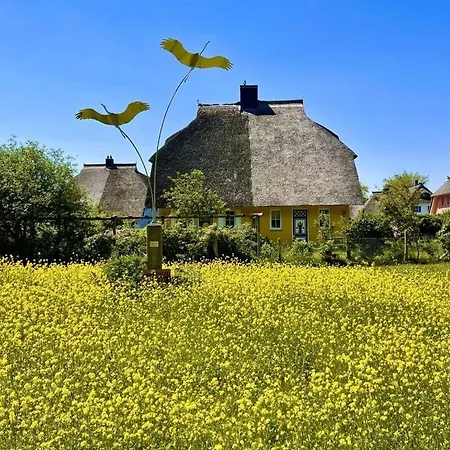 Marla Comfortable Vacation